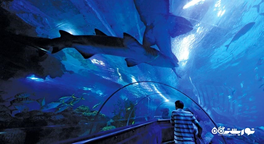 سرگرمی آکوآریا کی ال سی سی شهر مالزی کشور کوالالامپور